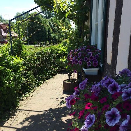 Appartements An Der Schleuse Lübz Esterno foto